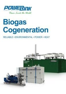Biogas Cogeneration