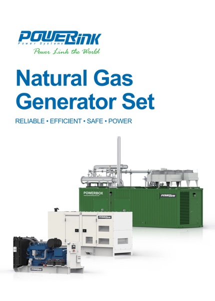 Natural Gas Generators